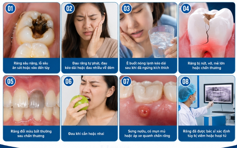 Nhận biết sớm dấu hiệu tổn thương tủy giúp điều trị kịp thời, hạn chế biến chứng và bảo tồn răng thật.